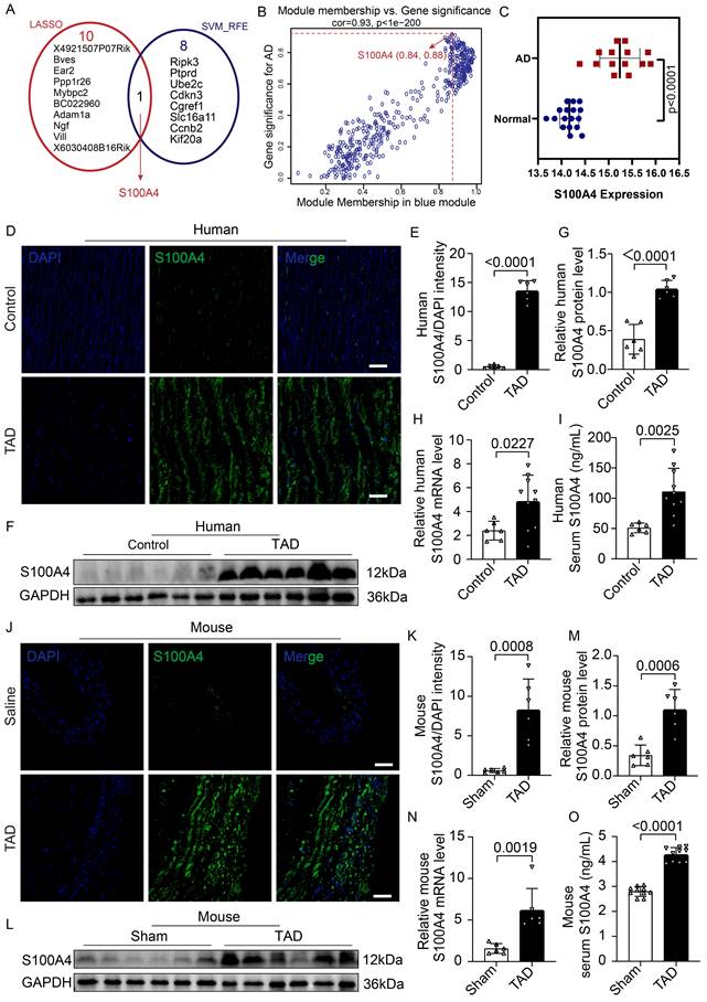 Int J Biol Sci Image