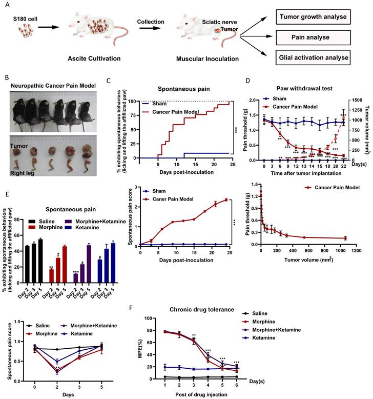 Int J Biol Sci Image