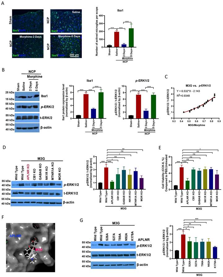 Int J Biol Sci Image