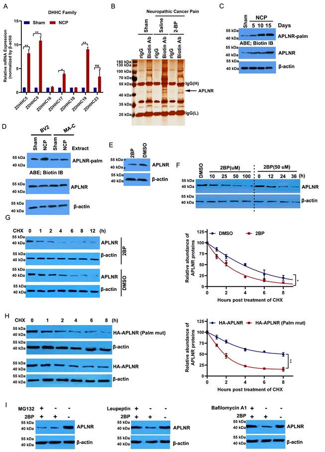 Int J Biol Sci Image