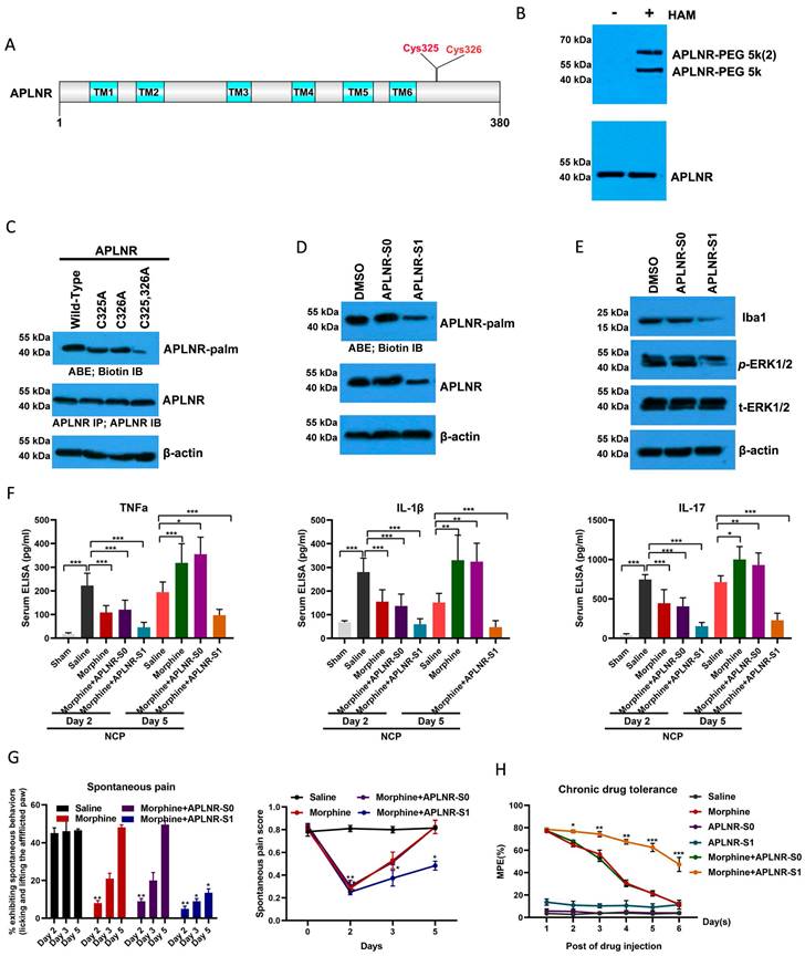 Int J Biol Sci Image