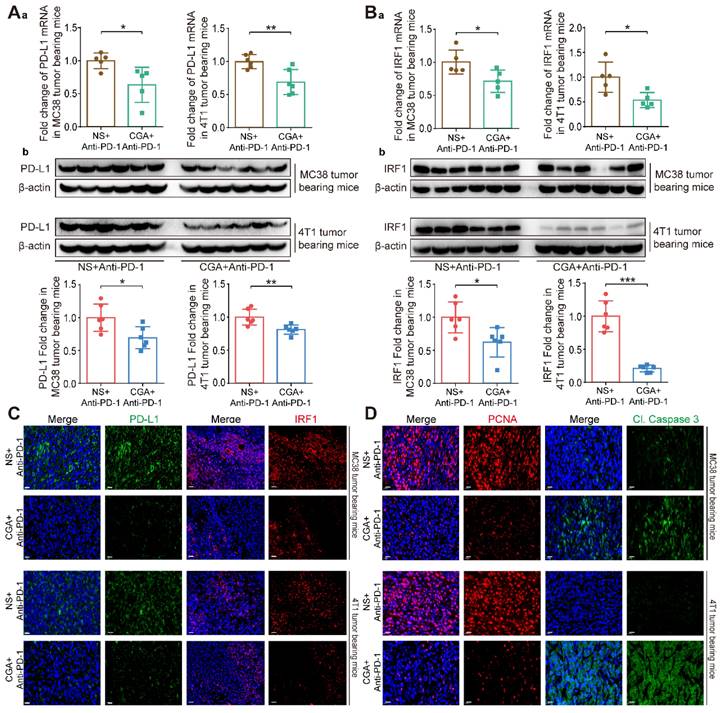 Int J Biol Sci Image