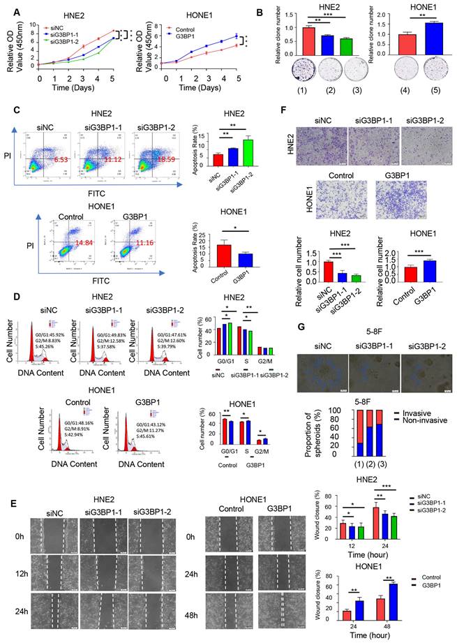 Int J Biol Sci Image