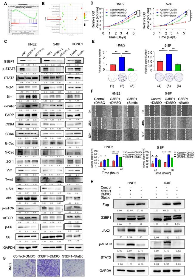 Int J Biol Sci Image