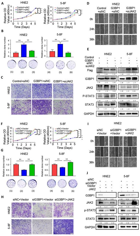 Int J Biol Sci Image