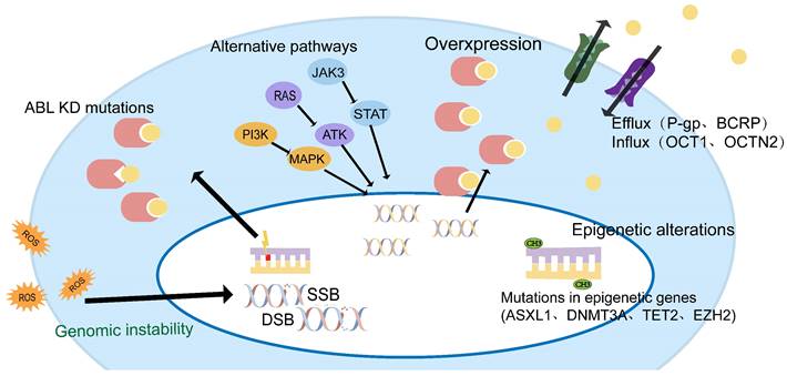 Int J Biol Sci Image