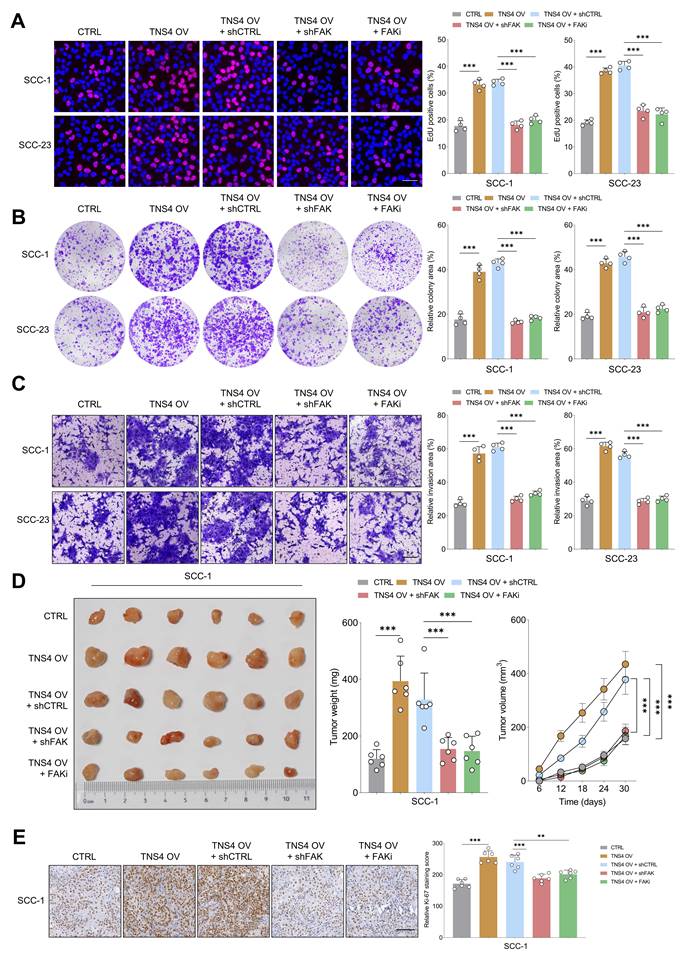 Int J Biol Sci Image