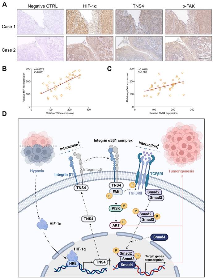 Int J Biol Sci Image