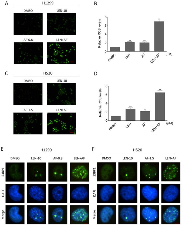 Int J Biol Sci Image