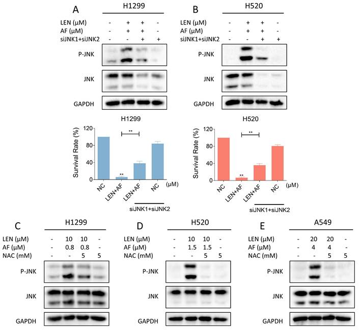 Int J Biol Sci Image