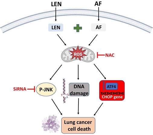 Int J Biol Sci Image