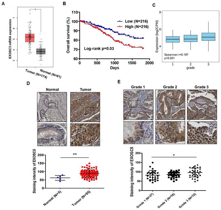 Int J Biol Sci Image