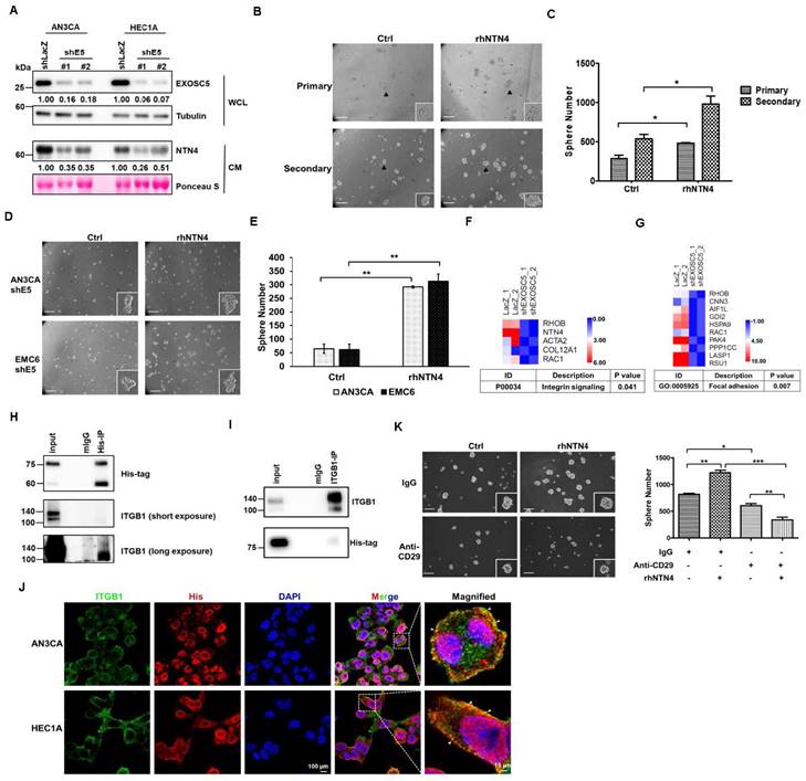 Int J Biol Sci Image