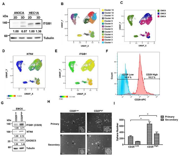 Int J Biol Sci Image