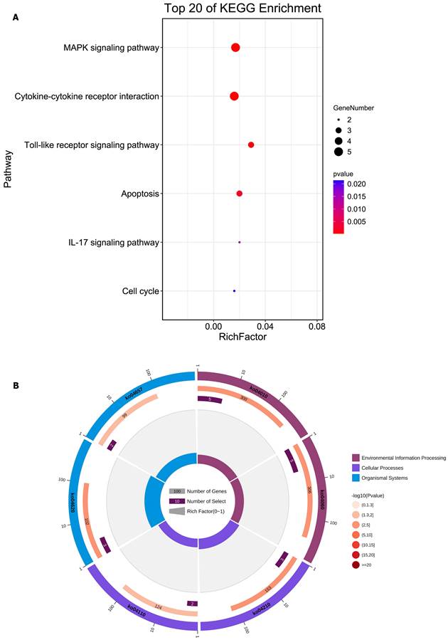 Int J Biol Sci Image