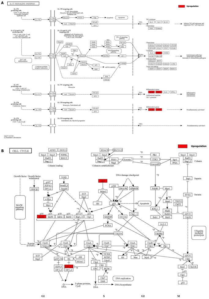 Int J Biol Sci Image