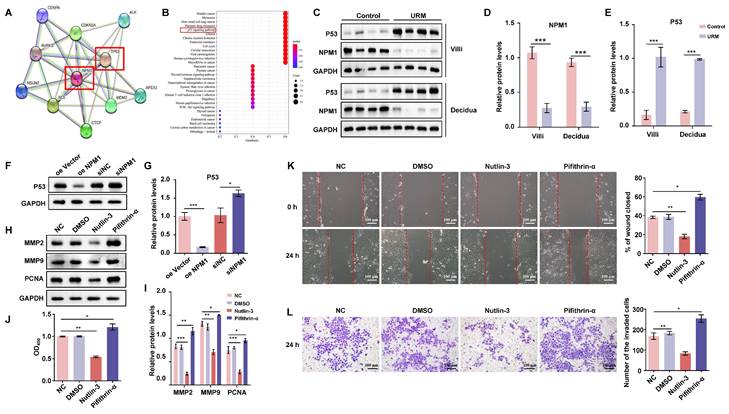 Int J Biol Sci Image