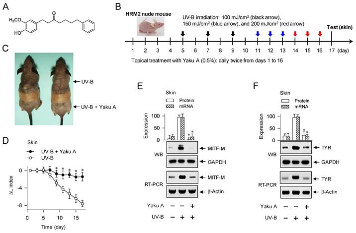 Int J Biol Sci Image