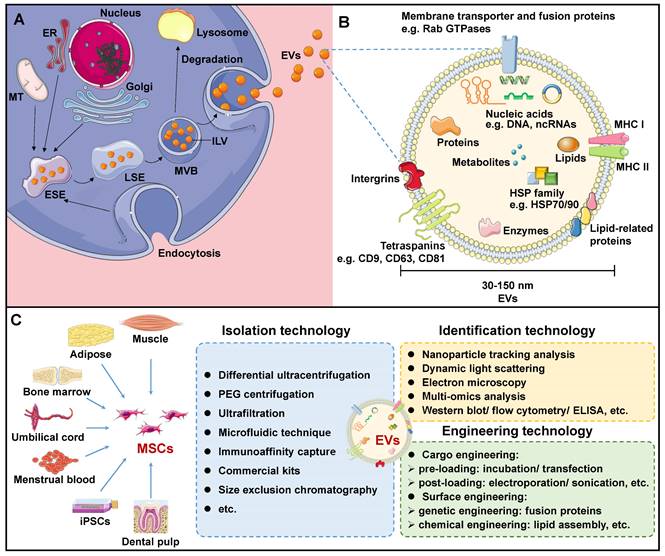 Int J Biol Sci Image