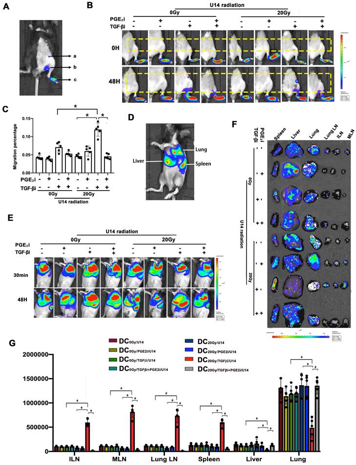 Int J Biol Sci Image