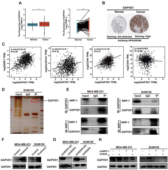 Int J Biol Sci Image