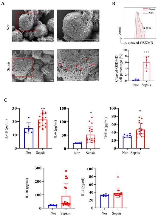 Int J Biol Sci Image