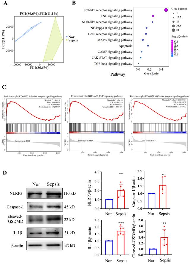 Int J Biol Sci Image