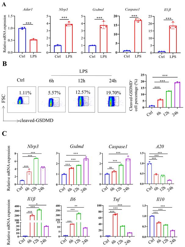 Int J Biol Sci Image