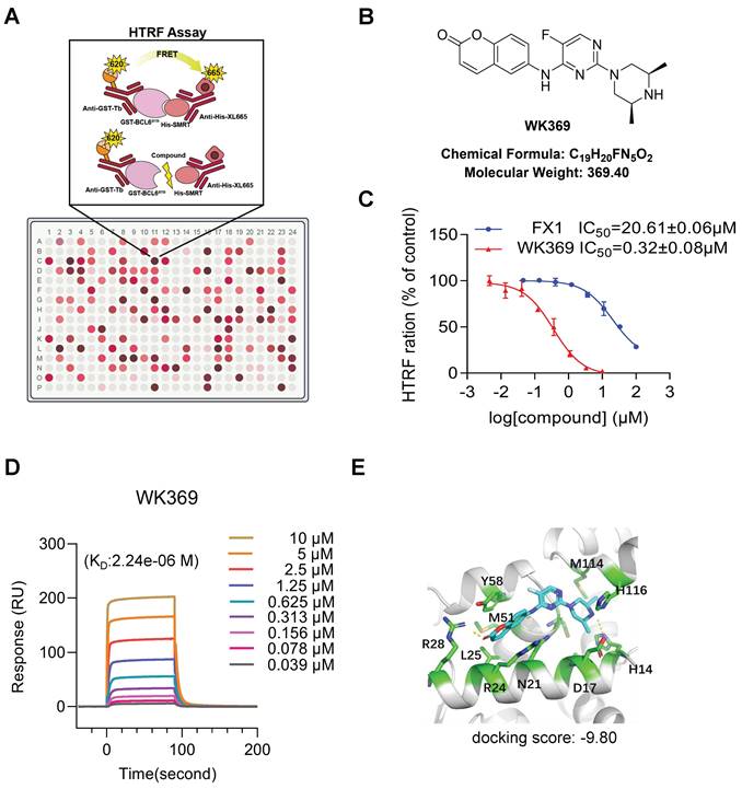 Int J Biol Sci Image