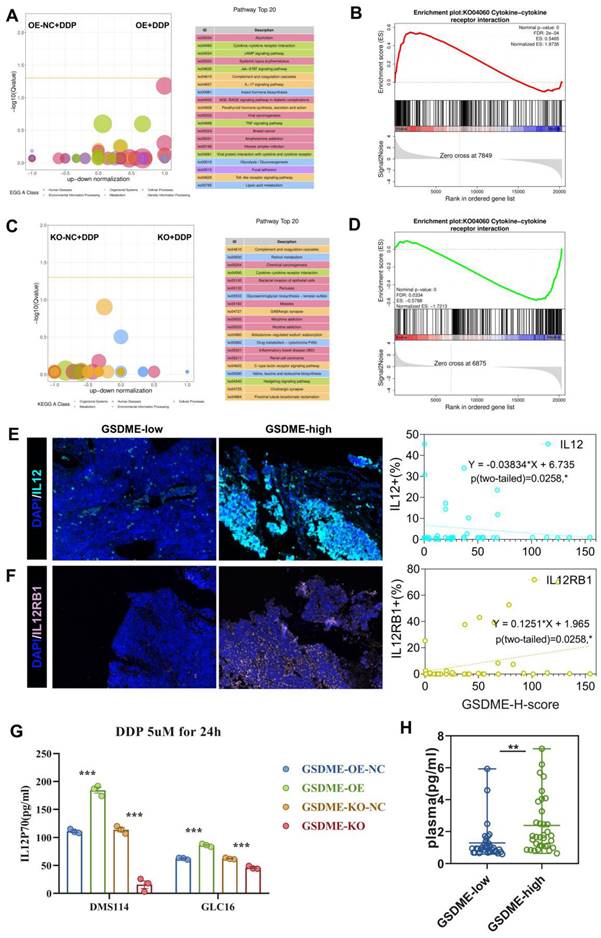 Int J Biol Sci Image