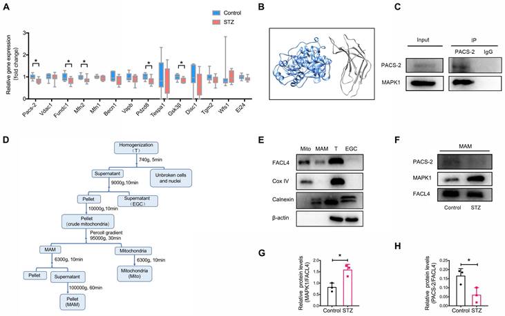 Int J Biol Sci Image