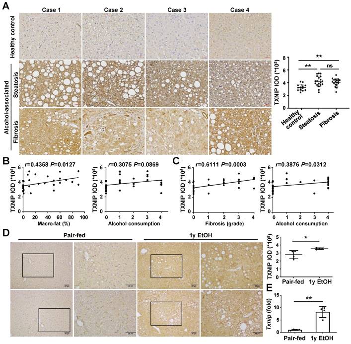 Int J Biol Sci Image