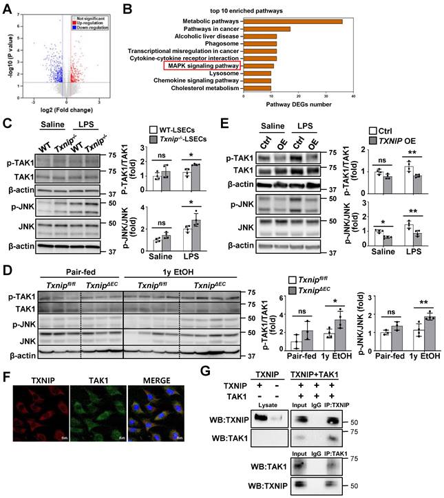 Int J Biol Sci Image