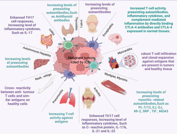 Int J Biol Sci Image