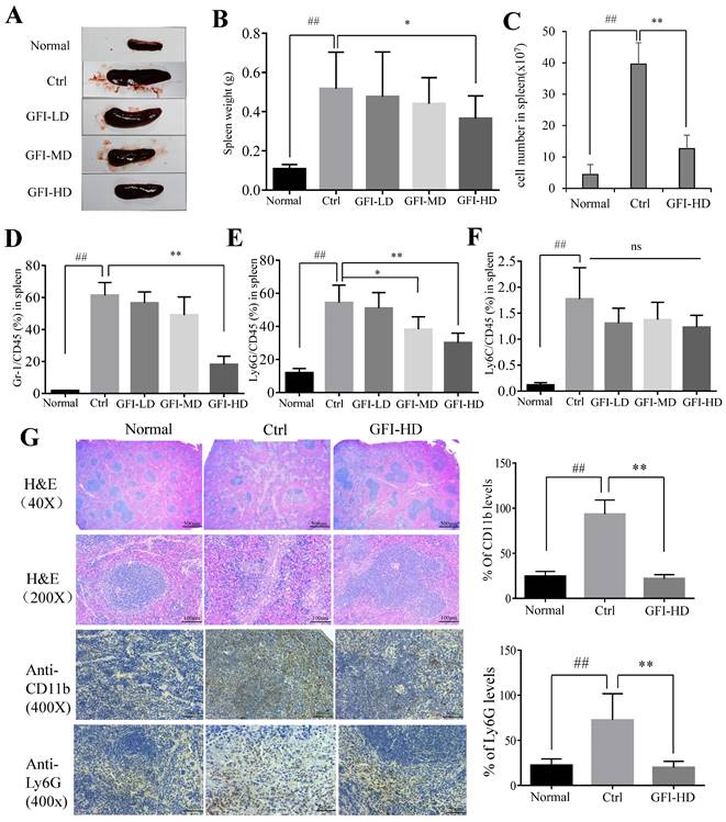 Int J Biol Sci Image