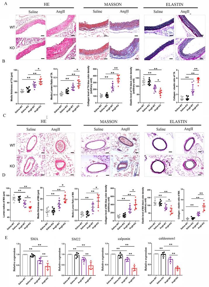 Int J Biol Sci Image