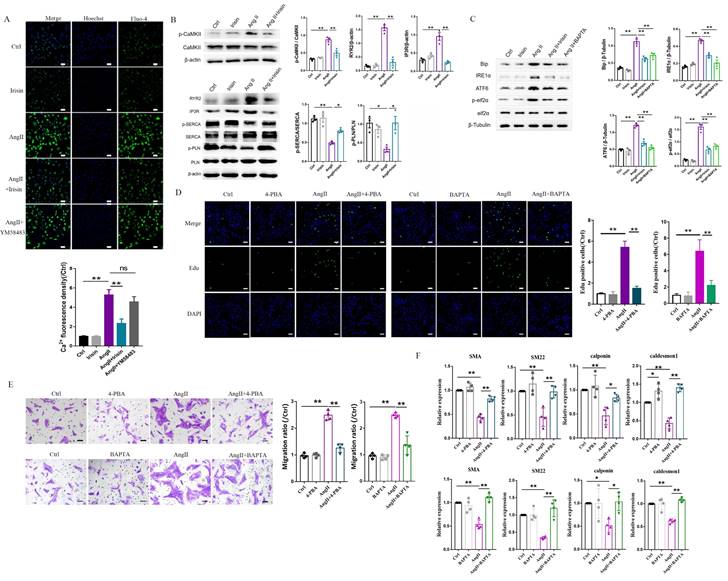 Int J Biol Sci Image