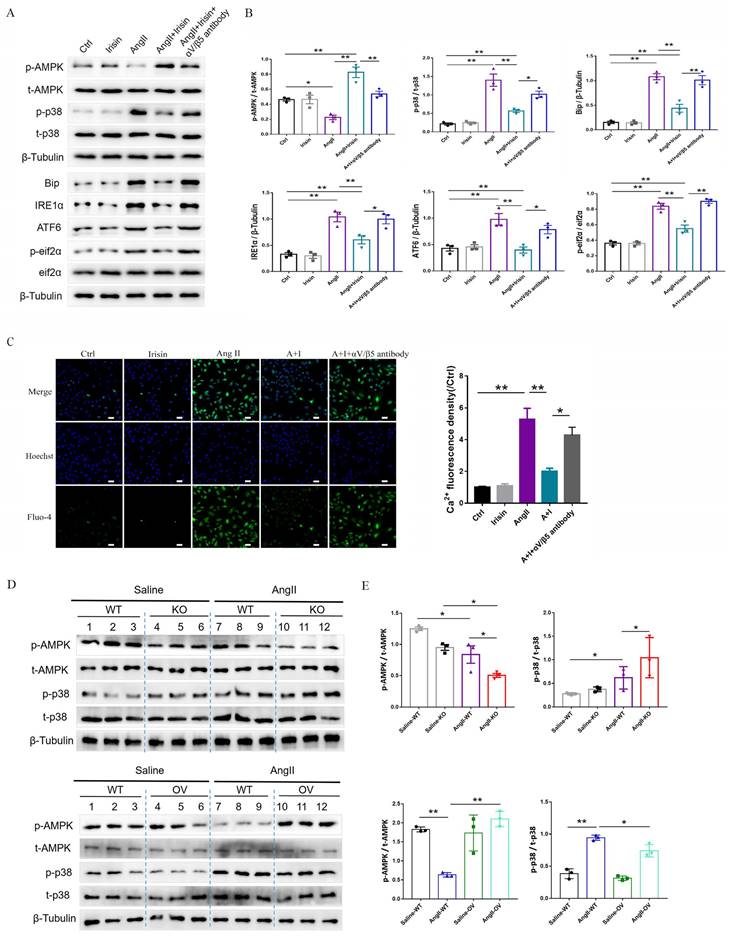 Int J Biol Sci Image