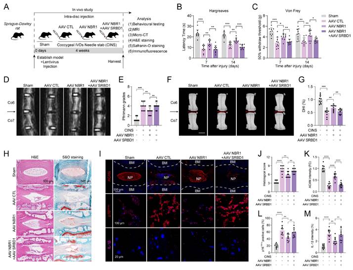 Int J Biol Sci Image