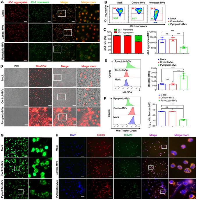 Int J Biol Sci Image