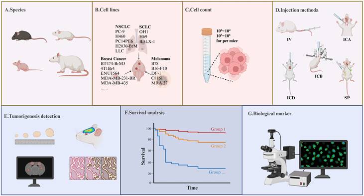 Int J Biol Sci Image