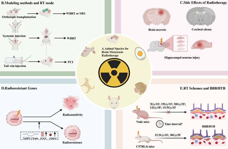 Int J Biol Sci Image