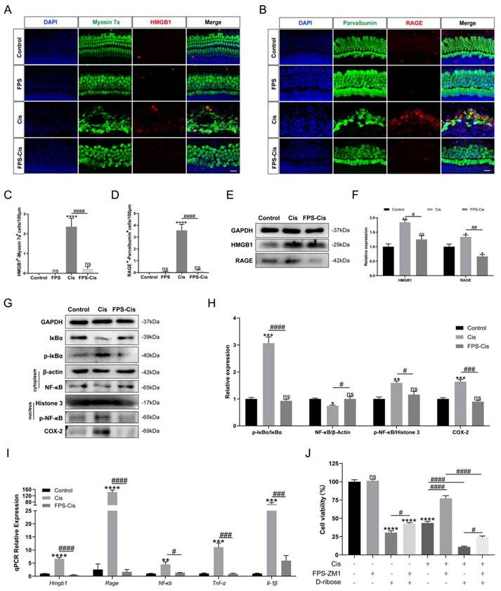 Int J Biol Sci Image