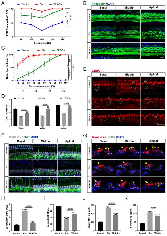 Int J Biol Sci Image