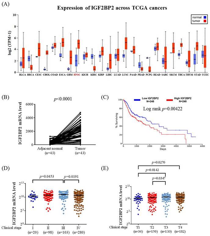 Int J Biol Sci Image