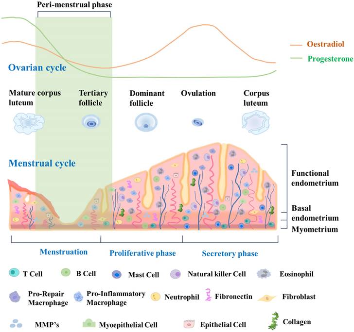 Int J Biol Sci Image