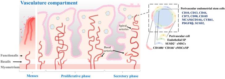 Int J Biol Sci Image