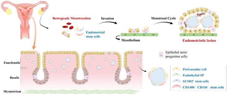 Int J Biol Sci Image