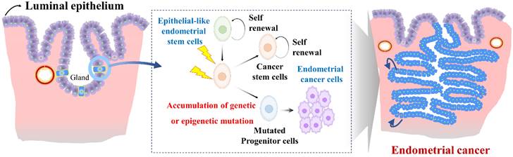 Int J Biol Sci Image