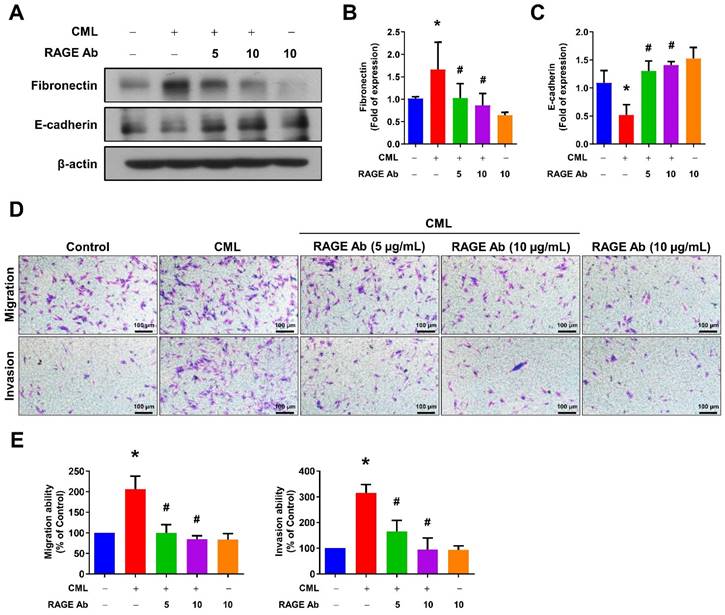 Int J Biol Sci Image